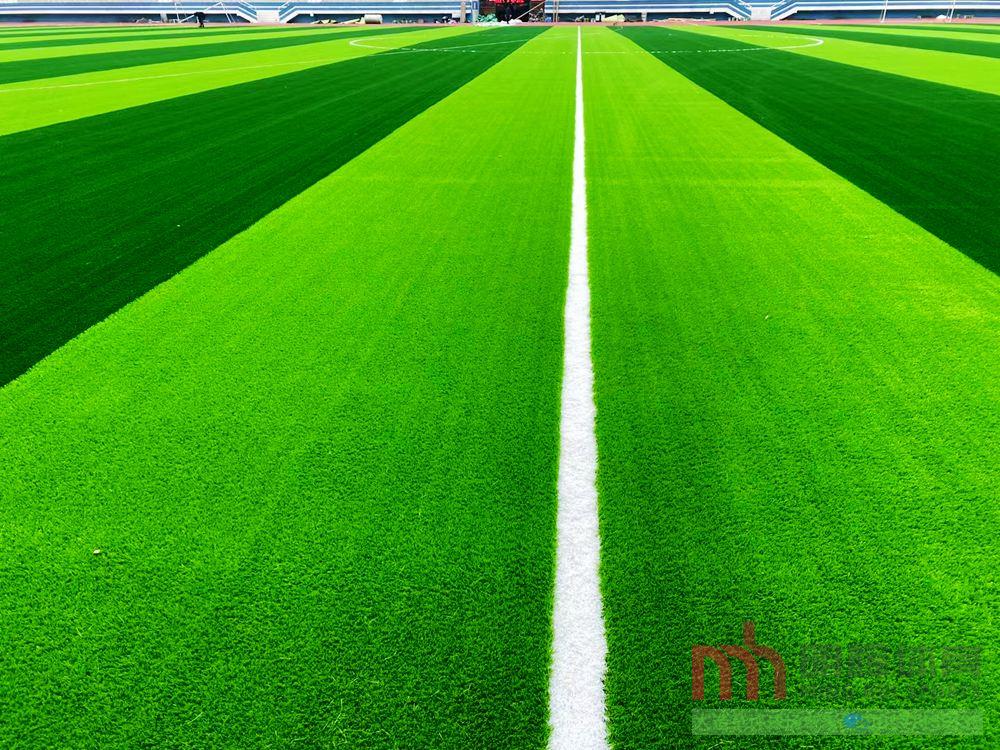 四川自貢實驗中學免填充人造草坪足球場